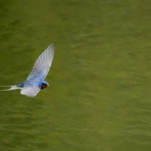 Untitled (34 Of 118).jpg